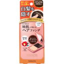 【メール便可能(4点まで)】ジョスラン ヘアカバーファンデーション 白髪・頭皮用ファンデーション ナチュラルブラウン 13g 【YANAGIYA 柳屋 白髪を隠す 地肌に塗れるヘアファンデ 白髪隠し しらが対策 分け目 生え際 頭髪 髪色 ヘアケア】