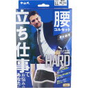 中山式 ボディフレーム 立ち仕事 腰用 LLサイズ 【サポーター 腰コルセット 健康 運動 スポーツ 痛み 保護 安定 腰ベルト 腰用ハード ハードメッシュ 弾性ボーン 立ちながら使用 立ち姿勢】(4)