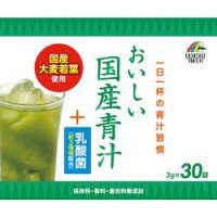 おいしい国産青汁+乳酸菌3g×30袋 【ユニマットリケン 大麦若葉 サプリメント 健康食品】 おいしい国産青汁+乳酸菌3g×30袋 【ユニマットリケン 大麦若葉 サプリメント 健康食品】