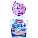 パーシャルデント洗浄フォーム 部分入れ歯用 ミントの香り 250mL 【小林製薬 入れ歯洗浄剤 ささっと洗い ポンプタイプ 手洗いタイプ 泡タイプ デンタルケア...