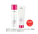 【E-2】シュワルツコフ BCクア フォルムコントロール シャンプー250ml&トリートメントa250gセット 【送料無料】