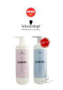 【送料無料】シュワルツコフ サロンオンリーシャンプー&コンディショナー 業務用 1000ml ポンプ容器入り 【数量限定 お買い得】