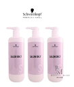 【3本】シュワルツコフ サロンオンリーシャンプー 業務用 1000ml ポンプ容器入り 3本セット 【送料無料】【数量限定 お買い得】