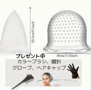 【ブラシ1本+鍵針+グローブ4枚+ヘアキャップ2枚付き】ヘアカラー キャップ メッシュ ブリーチ ハイライト カラーブラシ付き +鍵針付 Wプレゼント ※クリ...
