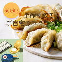 【G-2】訳あり商品 2in1手作り餃子メーカー 餃子プレス、クリエイティブ餃子メーカー、DIYキッチン餃子マシン、手作りトルティーヤプレス、プラスチック、電源不要、食品接触安全、キッチンツールセット数量限定 在庫処分 訳あり 在庫限り 在庫限定 処分品