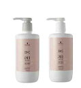 【J-4】 シュワルツコフ BC OIL ROSE BCオイルローズ ローズオイルシャンプー&トリートメント 750ml+750g 各ポンプ容器入セット 【送料無料】【限定特価】