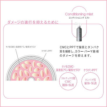 アリミノ シェルパデザインサプリ コンディショニングミスト 250ml