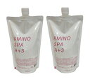 フルビオ　AMINO SPA A+3　アミノスパ シャンプーFA　600ml 詰替　2個　※シャンプー　