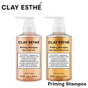 クレイエステ プライミング シャンプー 400ml CLAY ESTHE  ヘアケア サロン専売品 人気 おすすめ