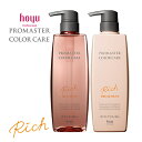 hoyu ホーユー プロマスター カラーケア リッチ シャンプー 600ml トリートメント 600g セット カラーヘア用 ヘアケア サロン専売品 人気 おすすめ