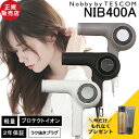 【楽天1位4冠/P10倍/正規店/もれなくプレゼント付】ノビー バイ テスコム プロテクトイオン ヘアードライヤー NIB400A 送料無料 大風量 正規品 軽...