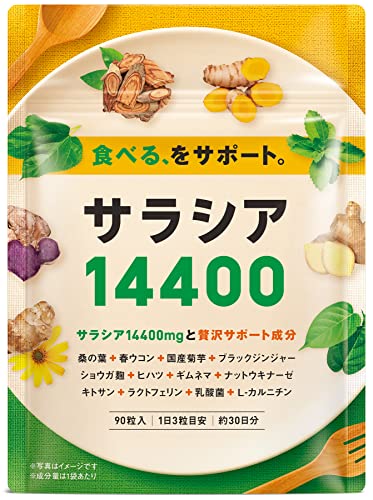 サラシア 桑の葉 ウコン 菊芋 乳酸菌 ナットウキナーゼ ショウガ? 13種類の贅沢成分 90粒 30日分 サラシア14400