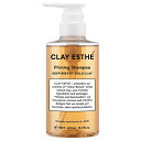 ビューティーエクスペリエンス クレイエステ プライミングシャンプー ゴールドクレイ 400ml ( B-ex CLAY ESTHE ヘアケア 頭皮ケア 頭皮クレンジング 美容室 美容院 サロン専売品 )