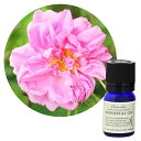 Flavor life(フレーバーライフ) ローズ・アブソリュート 3ml ( エッセンシャルオイル アロマオイル 精油 )(4)