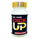 【DICK UP(ディックアップ)】男性サポートサプリメント メンズサプリ