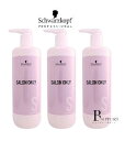 【3本まとめ買い】シュワルツコフ サロンオンリーシャンプー 1000ml ポンプ容器入 3本セット 【送料無料】【数量限定特価】