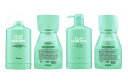 【計4点】【500ml&500g&各専用容器セット】【シャンプー&パック】クレイエステシャンプーEX500ml パックEX500g 各詰め替え用レフィル+専用空容器 ビューティーエクスペリエンス (モルトベーネ) 【送料無料】
