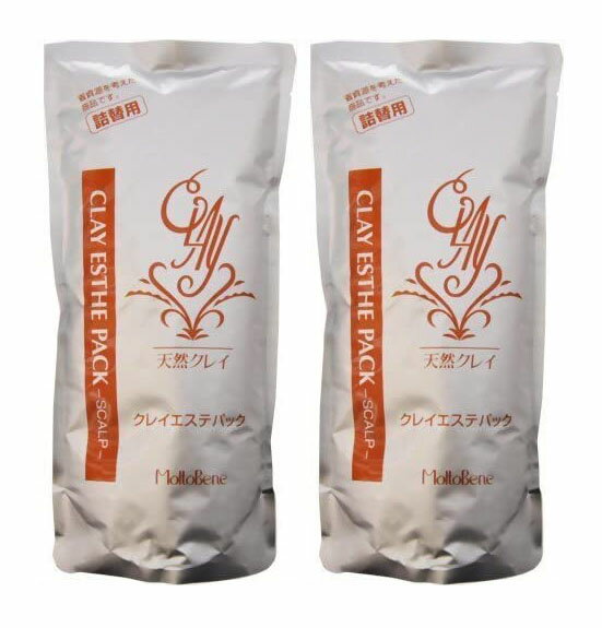 BSPۥȥ١ͥ쥤ƥѥå500g2