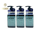 【3本まとめ買い】【シャンプー・容器入】REDEN HYBRID SHAMPOO R2 リデン ハイブリッドシャンプー R2 500ml 2本セット 【送料無料】