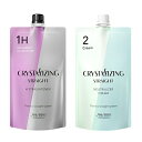 資生堂 クリスタライジングストレート 1剤 H 2剤 クリーム 各400g セット販売 (業務用縮毛矯正剤) 【送料無料】