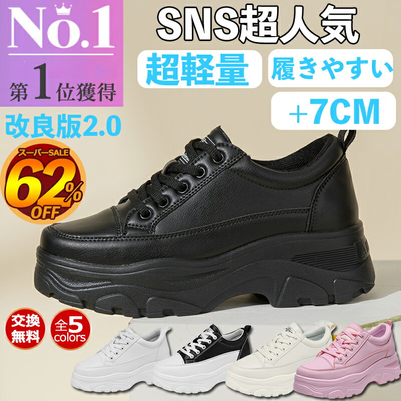 【ランキング5冠達成 SNSで大人気 大