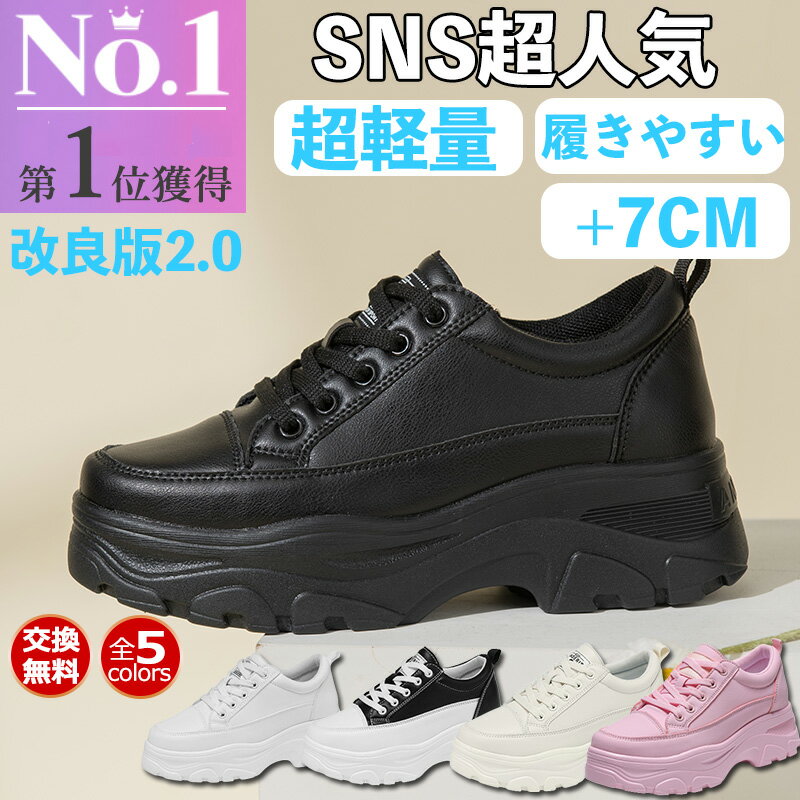 【ランキング5冠達成 SNSで大人気 大