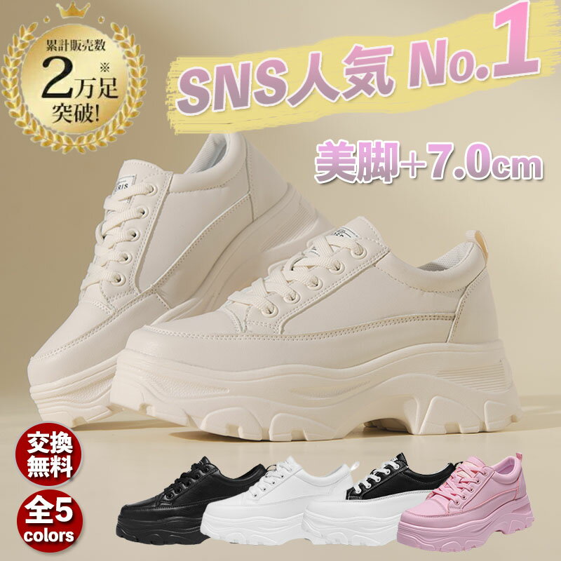 SNSʨƭ 7OK 饤͵ Ķ  ˡ ǥ 쥷塼 åɥˡ   7cm Ĺå ڹ 󥰥塼 쥹ˡ  ɿ ⤭䤹 ʤ  ɳ   礭 ù