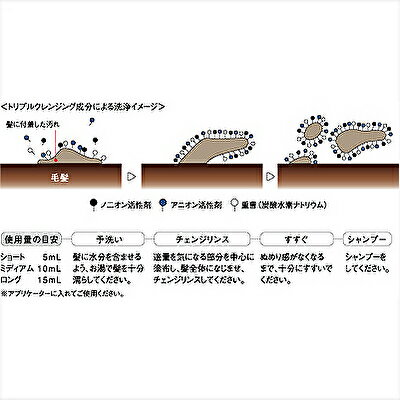 【詰替え2点セット】デミ フローディア スリークモイスト シャンプー 450ml + トリートメント 450g 詰替えDEMI FLOWDIA サロン やわらか なめらか ダメージケア リフィル BC-T 3