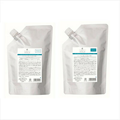 【2点セット】デミ フローディア スプリングリフト シャンプー1000ml + トリートメント1000g 詰替えDEMI FLOWDIA サロン うねり ダメージケア 1L リフィル 業務用 BC-T