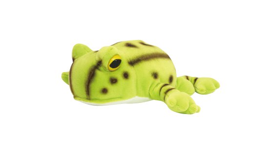 Frog - テイクオフ アニマニア ベルツノガエル ぬいぐるみ 動物 TAKE OFF 誕生日や記念日のギフトとして可愛いヌイグルミです BC-D V-1
