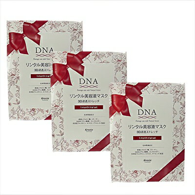 ڥեBOX3Ȣۥ饷DNA󥯥Ʊեޥ3D 1δåȡ5ˡ 3Ȣ ץ쥼   ϥ ץեȡBC-N V-2