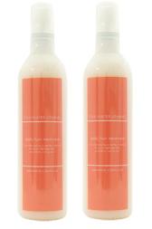 パーマリンケミカル イオン・ウォーター・スタイリング210ml 2本セット/AP BC-K