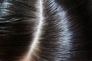 【メール便で送料無料代引き決済不可】アモロス黒彩ヘアファンデーション13g3色