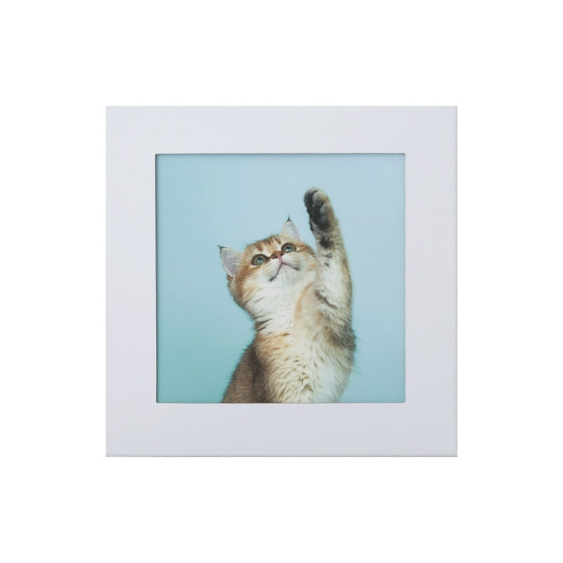 アートトワレ(ATW-5) 03.ねこ 防災・ギフト