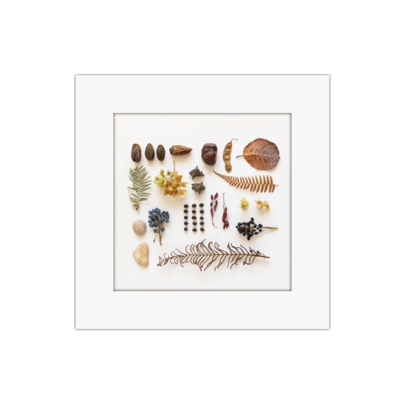 アートトワレ(ATW-5) 18.ネイチャークラフト 防災・ギフト