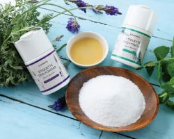 GREENNOTE(���꡼��Ρ��ȡ˥������å� Deo �ѥ����� [�ƥ��ȥ��꡼��٥����] 50g