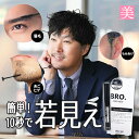 ひと塗り 白髪カバー 白髪隠し マスカラ メンズ BRO. FOR MEN Quick Mascara 6g もみあげ ヒゲ 送料無料 ひげ 眉毛 生え際 部分...
