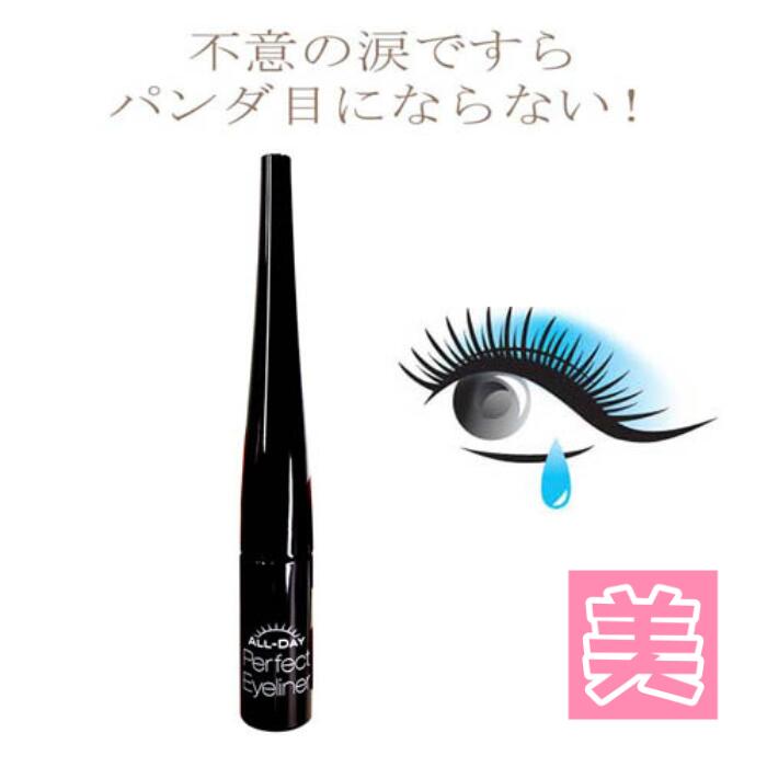 ウォータープルーフ アイライナー オールデー パーフェクトアイライナー 6ml 【 2個セット 】 パンダ目 アイライナー 落ちない にじまない リキッド ペンシル 落ちにくい 送料無料 化粧ベース 描きやすい 長時間 落ちない 極細 アイライン 海 プール アイメイク