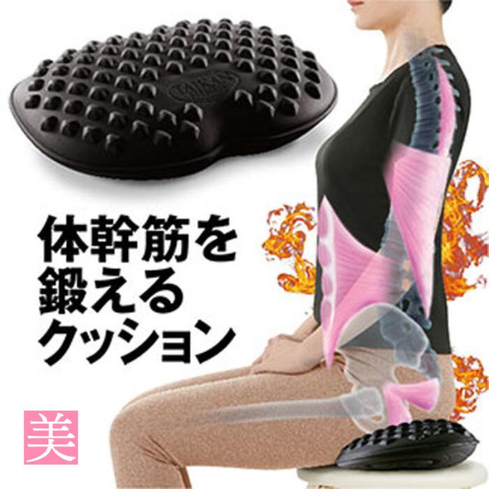 下腹部 ダイエット 器具 体幹筋シェイプエクササイズマット ダイエット器具 コンパクト エクササイズ 下半身 下腹 腹筋 ダイエット ぽっこり 下腹部 ダイエット 器具 補正 ぽっこり 姿勢矯正 姿勢 椅子 補正 勢 座布団 座椅子 体幹トレーニング エクササイズポール