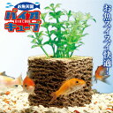 水槽 ろ過 【お魚天国バイオキュ-ブ】 清掃 熱帯魚 水槽セット 水槽 アクセサリー 水草 インテリア 納豆菌 節約 水槽 ろ過 熱帯魚 水槽 浄化 清掃 水質 透明 おすすめ その1