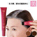部分白髪染め クイックヤング ヘアカラー 白髪隠しマスカラ メンズ レディース 敏感肌対応 洗い流す 白髪染め メンズ 女性 刷毛タイプ 簡単 白髪ケア 生え際...