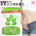 サプリメント 健康 美容 モリンガ家族 サプリメント モリンガ 乳酸菌 食物繊維 腸活 腸内 送料無料 ダイエット 大容量 タブレット ラクトフェリン ベジタブ...