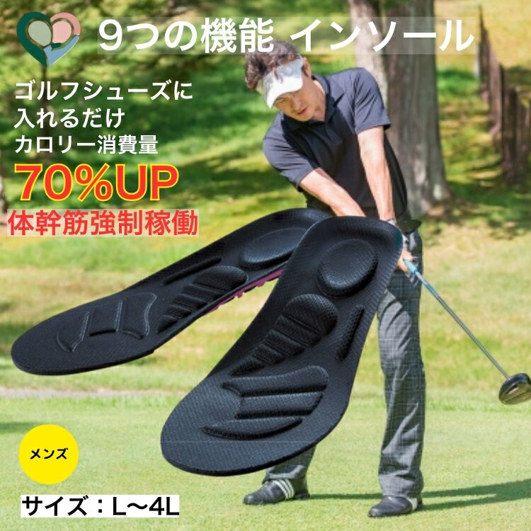 大きいサイズ インソール 中敷き メンズ 体幹筋エクササイズ ツインボール アーチサポート 扁平足  ...