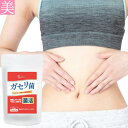 菌活 タブレット ガセリ菌 60粒 サプリメント サプリ 健康食品 健康 美容 ダイエット 1日2粒 乳酸菌 国内製造 高配合 EC-12 有胞子乳酸菌配合 善玉菌 クラフトオリゴ糖配合 メール便 送料無料