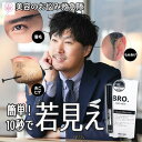 白髪隠し 白髪染め 眉毛 白髪染め 白髪カバー 部分白髪染め もみあげ 白髪 ひげ 染め 白髪染め メンズ ヒゲ 白髪隠し 眉毛 白髪 マスカラ ヘアマスカラ 生え際 髪 携帯用 簡単 即効 自然な仕上がり クイックマスカラ BRO. FOR MEN 外出前 部分染め用 ポイントカラー 送料無料