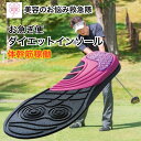 【10% クーポン 配布中】 ゴルフ シューズ インソール 中敷き 【お急ぎ便】 体幹筋エクササイズ ツインボール レディース 女性 O脚ケア 衝撃吸収 姿勢改善 骨盤サポート 簡単ウォーキング ダイエットソール 靴に入れるだけ 魔法のインソール ダイエット インソール 送料込み