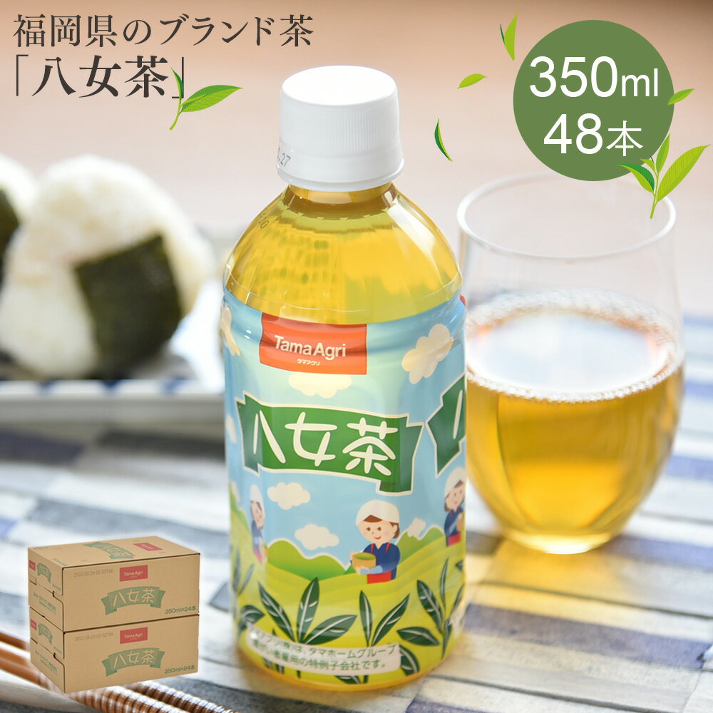 お茶 ペットボトル 350ml 48本 八女茶 