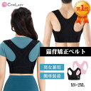 【期間限定 5,000円⇒2,682円】【楽天1位】BEALTH 姿勢矯正ベルト 猫背矯正 姿勢矯正 猫背矯正ベルト 男性 女性 兼用 サポーター 補正下着 ベルト 美姿勢 猫背 姿勢 矯正 インナー 背筋 補正 保持 洗濯可能 テレワーク 在宅ワーク メンズ レディース