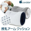 Candide キャンディド キャンディード 授乳アームクッション 抱き枕 授乳クッション 【赤ちゃん】【ベビー用品】【あす楽対応】