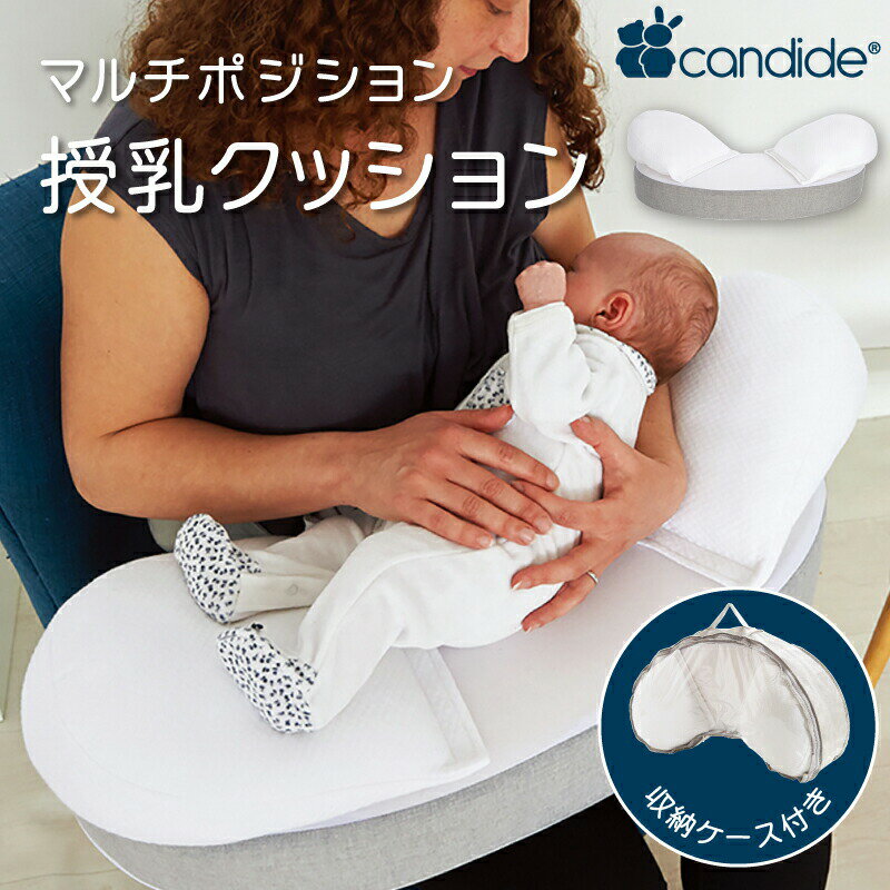 Candide ǥ ǥ ޥݥå  å ֤ۡڥ٥ӡʡۡڤб